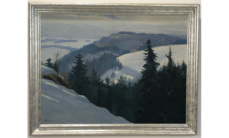 Sk2143 - Zima v Podkrkonoší